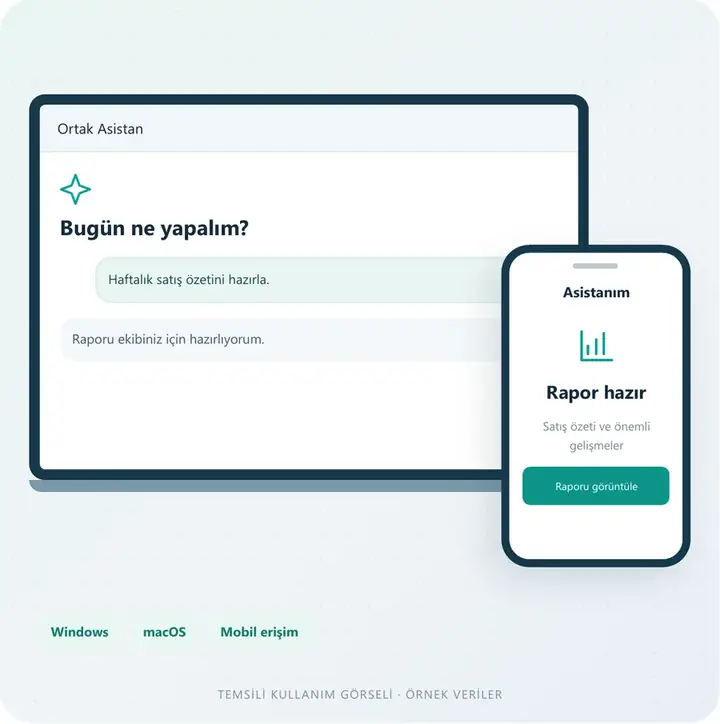 Her cihazda yanınızda – temsili kullanım ekranı