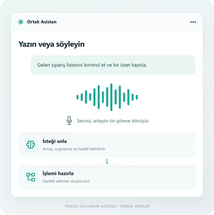 Yazın, söyleyin, yaptırın – temsili kullanım ekranı
