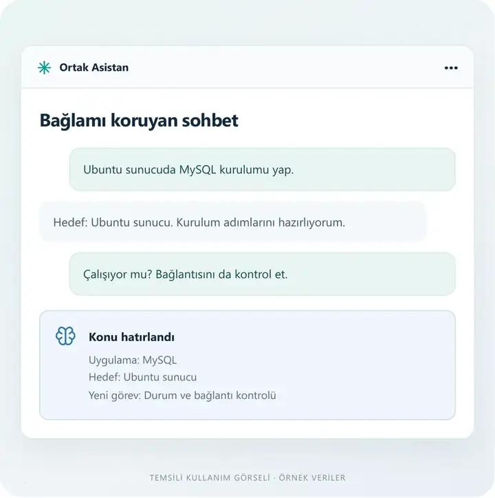 Konuyu anlayan asistan – temsili kullanım ekranı