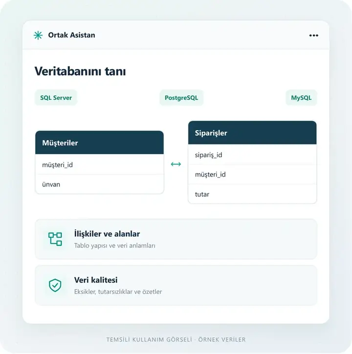 Verilerin yapısını tanır – temsili kullanım ekranı