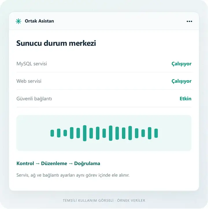 Kurulumdan çalışan bağlantıya – temsili kullanım ekranı